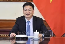 Le vice-ministre des Affaires étrangères et président du Comité d’Etat chargé des Vietnamiens résidant à l’étranger, Pham Quang Hiêu. Photo : VNA.