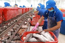 Le Mexique est devenu le 3e plus grand consommateur de pangasius du Vietnam, après la Chine et les États-Unis. Photo : VNA.
