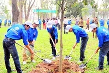 Environ 2 hectares de forêt seront plantés après le Mois de la Jeunesse et la Fête de Plantation d'arbres du printemps 2015. Photo: CPV.