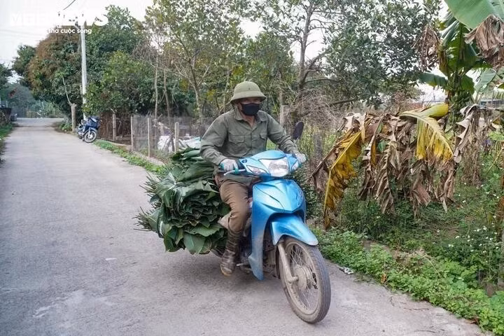 dong-12.jpg