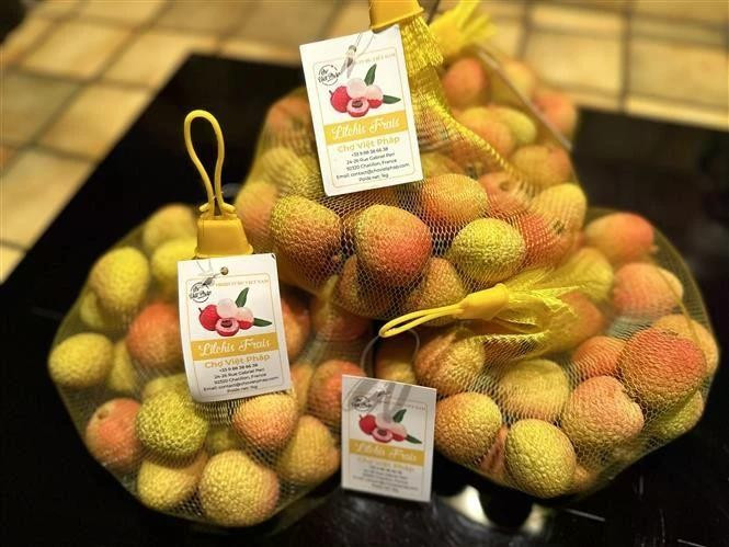 Le 2 juin, les premiers litchis frais de la saison 2025 en provenance du Vietnam sont officiellement arrivés sur le marché français. Photo : VNA.
