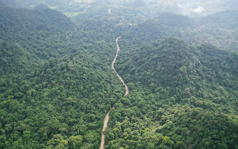 La commune de Cuc Phuong bénéficie d’un écosystème de forêt primaire d’une grande richesse, de paysages karstiques montagneux emblématiques et d’un environnement écologique rare et préservé. Photo : Vnexpress.