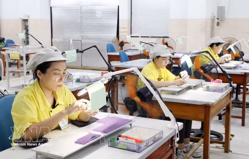 La SARL MANI Hanoi est une entreprise à 100 % capitaux étrangers. Photo : VNA.