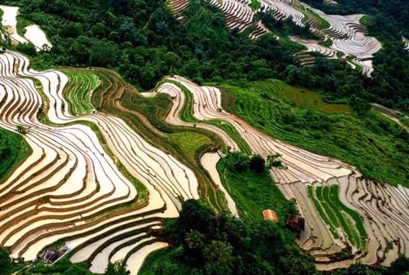 La beauté des rizières en terrasses de Khuoi My, dans la province de Tuyen Quang (au Nord). Photo : VNA.