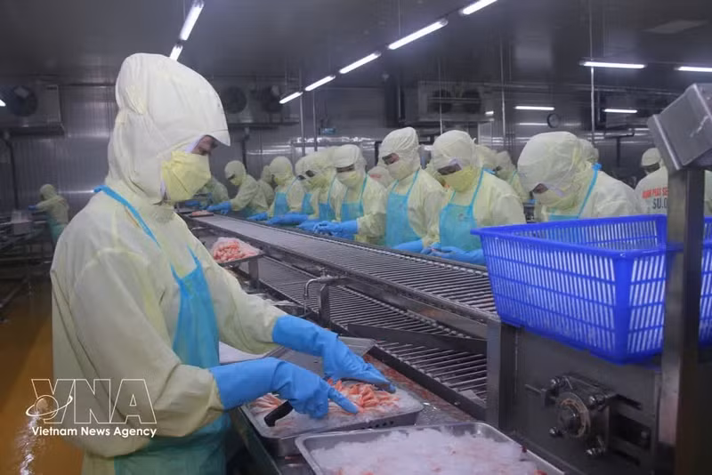 La province de Ca Mau compte près de 90 usines de transformation de produits aquatiques destinés à l'exportation. Photo : VNA.