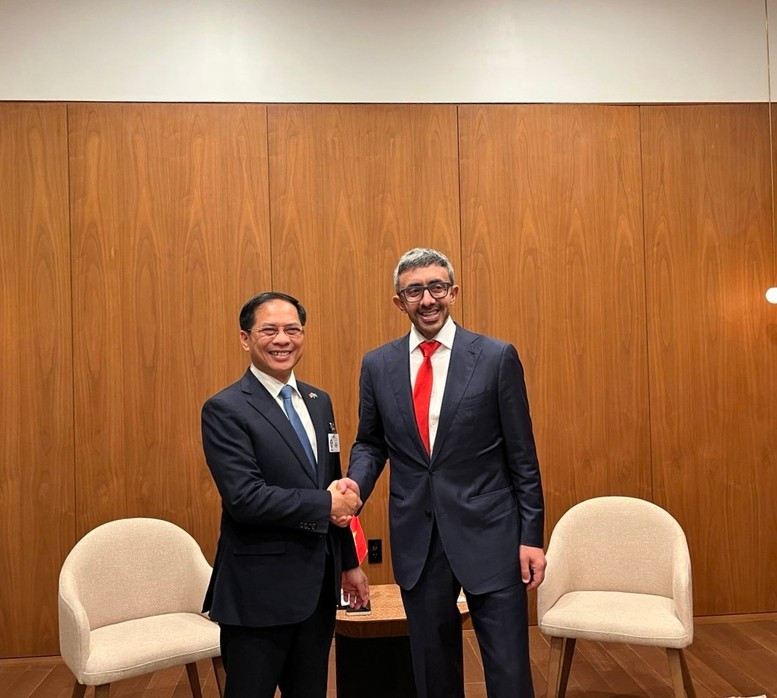 Le vice-Premier ministre Bui Thanh Son (gauche) rencontre le vice-Premier ministre et ministre des Affaires étrangères des Émirats arabes unis (EAU), Sheikh Abdullah bin Zayed Al Nahyan. Photo : VGP.