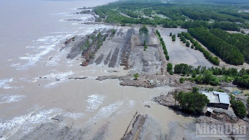 Les glissements de terrain sont complexes et menacent directement la vie et les moyens de subsistance des populations des zones côtières de Ca Mau.