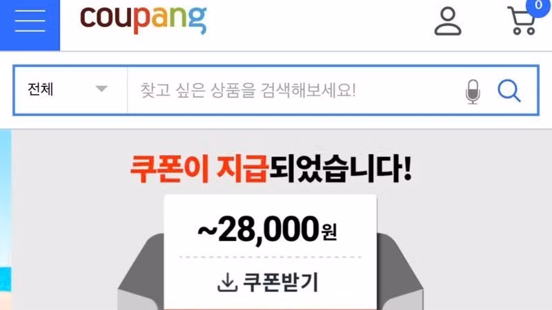 Coupang.com, l'un des géants sud-coréens de la vente en ligne, coopère activement avec l'ambassade du Vietnam pour régler l'affaire. Photo : Capture d'écran.