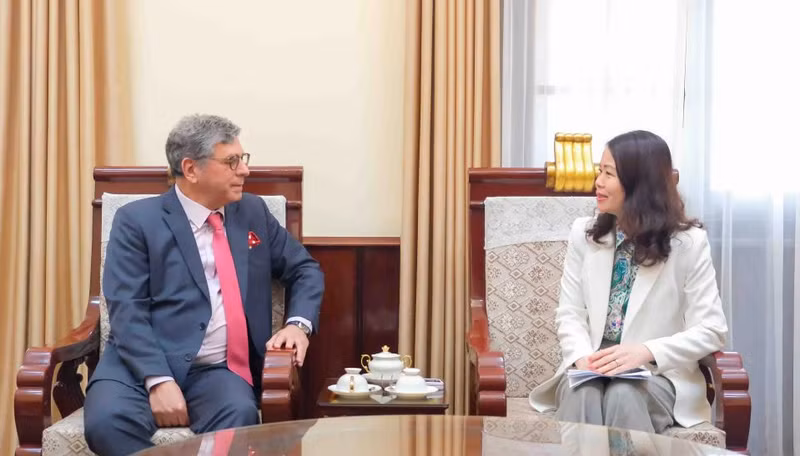 La vice-ministre des Affaires étrangères du Vietnam, Nguyen Minh Hang, reçoit l’ambassadeur du Brésil au Vietnam, Marco Farani. Photo : baoquocte.