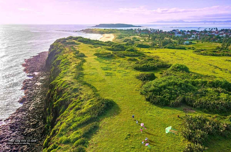 Le film « Toi thay hoa vang tren co xanh » a réveillé le tourisme de Phu Yen. Photo : laodong.