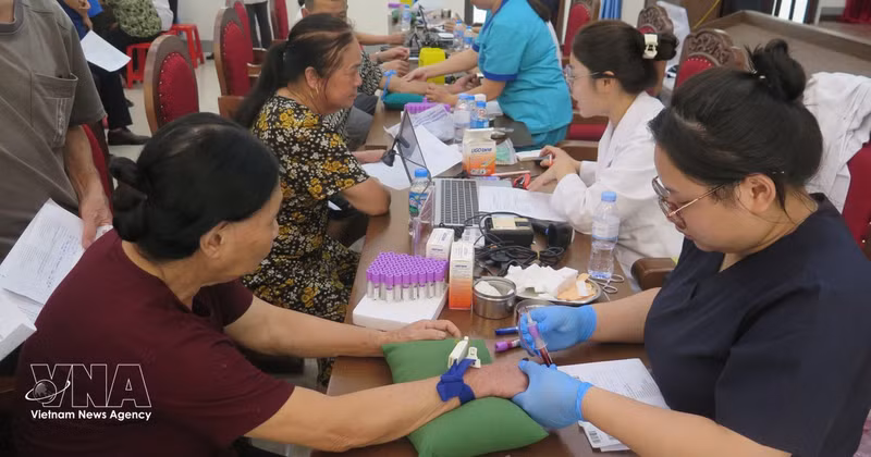 Prélèvement d’échantillons biologiques d’ADN auprès des proches des martyrs à Lao Cai, lors de la campagne intensive du 13 au 17 juillet 2026, au service de l’identification des restes des martyrs. Photo : VNA.