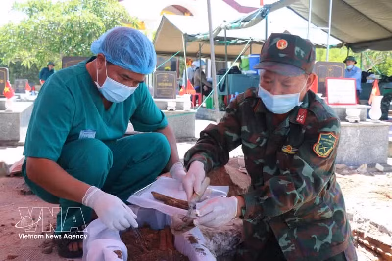 Des échantillons biologiques prélevés sur des tombes de martyrs au cimetière de Pho An, dans le quartier de Tra Cau (province de Quang Ngai). Photo : VNA.