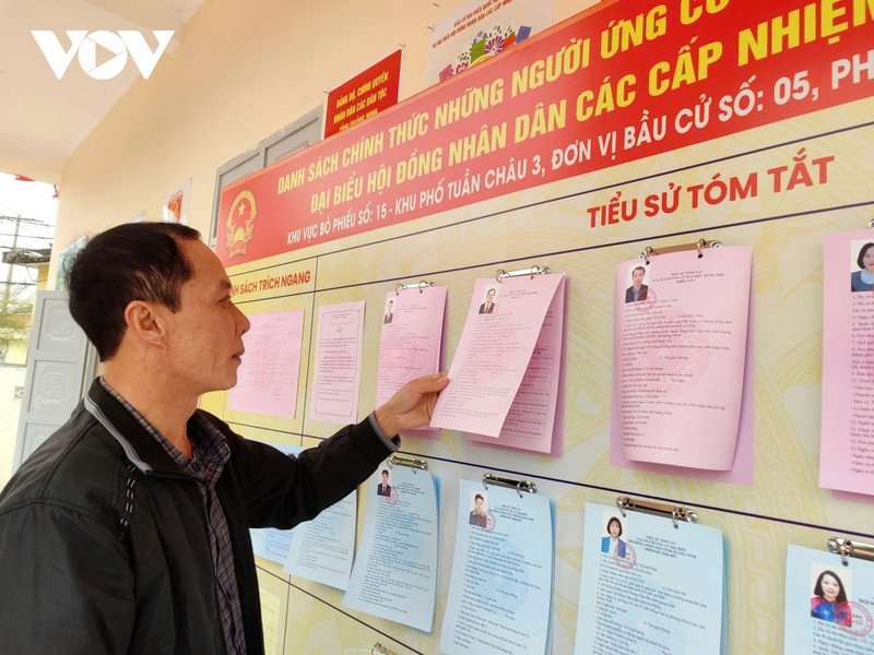 Pham Hung, secrétaire de la cellule du Parti et chef du quartier de Tuan Chau 3, étudie les biographies et les programmes d’action des candidats. Photo : VOV.