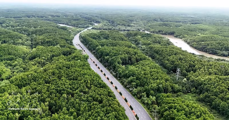 Mangroves de Can Gio. Photo : VNA.