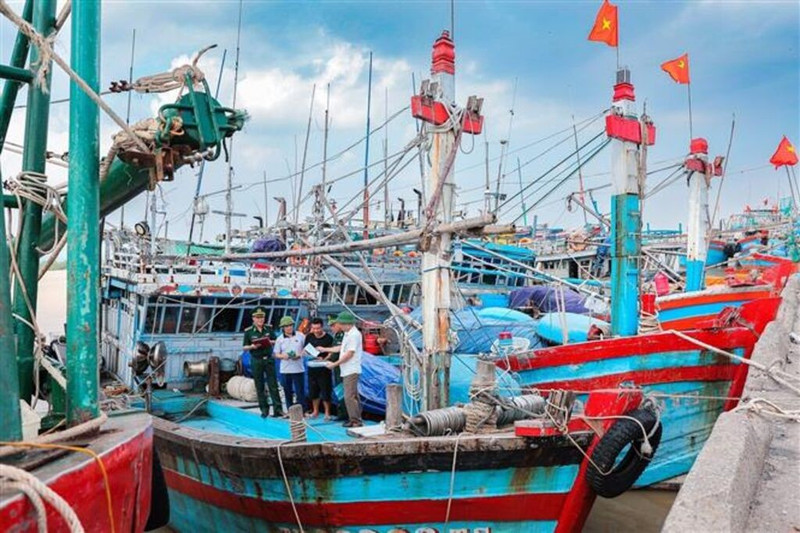 La lutte contre la pêche INN et la levée du « carton jaune » constituent une mission particulièrement importante et urgente. Photo : VNA.