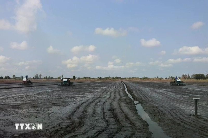 Le secteur agricole exhorte les agriculteurs à ne planter des cultures que lorsqu'un approvisionnement suffisant en eau est garanti. Photo : VNA.