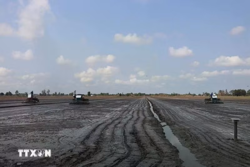 Le secteur agricole exhorte les agriculteurs à ne planter des cultures que lorsqu'un approvisionnement suffisant en eau est garanti. Photo : VNA.