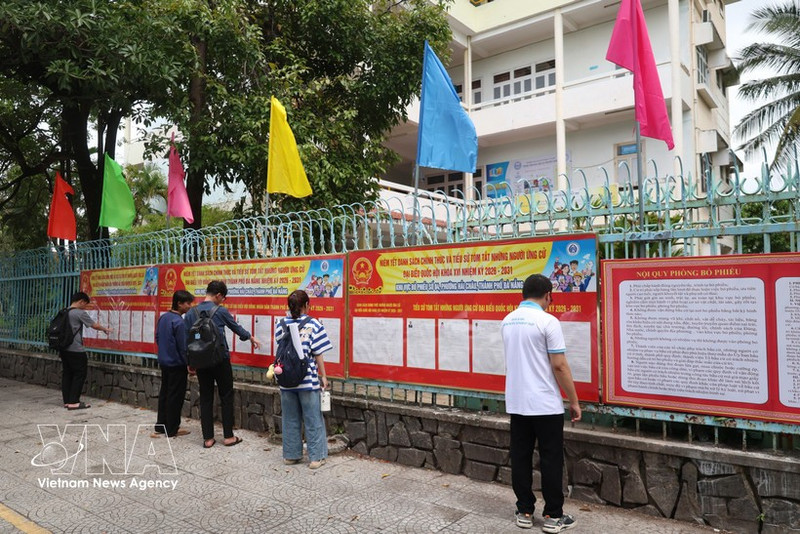 Des étudiants de l'Université de Da Nang lisent des informations des candidats. Photo : VNA.