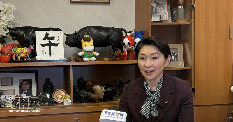 La présidente de l'Alliance parlementaire d'amitié Japon-Vietnam, Obuchi Yuko, a accordé une interview à la VNA. Photo : VNA.