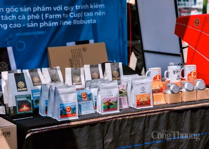 cafe-robusta-gia-lai-ct.jpg