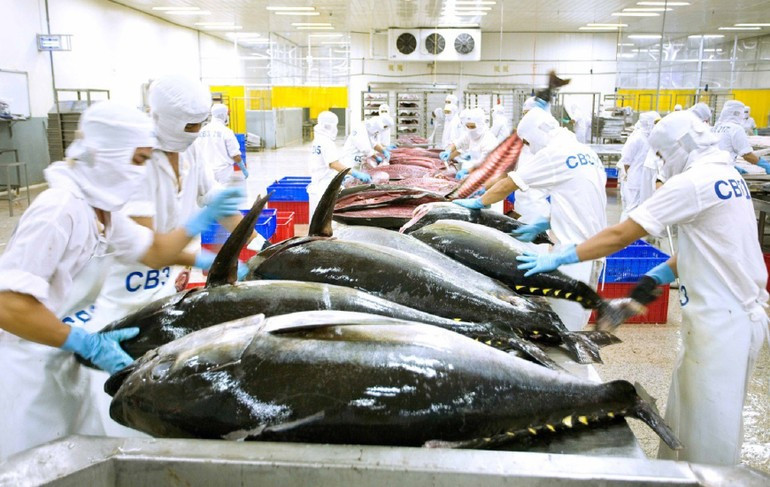 Transformation du poisson destiné à l’exportation. Photo : NDEL. image-1.jpg