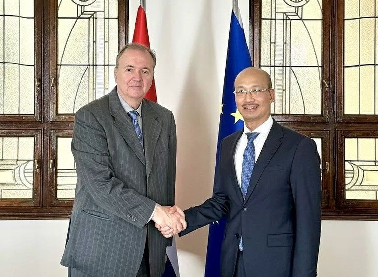 L’ambassadeur Bui Le Thai et le secrétaire d’État aux Affaires étrangères Frano Matušić. Photo : Ambassade du Vietnam en Croatie. dai-su-bui-le-thai-trinh-thu-uy-nhiem-len-tong-thong-croatia-20250628163805.jpg