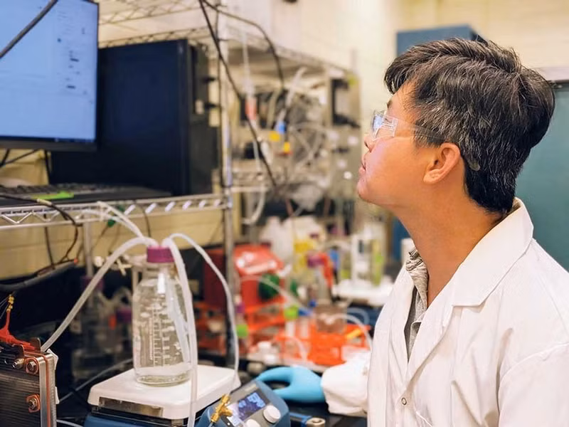 Face aux défis croissants du changement climatique, le développement de technologies efficaces et respectueuses de l’environnement pour le traitement des émissions de CO₂ est devenu une priorité mondiale. Photo : baodautu.vn