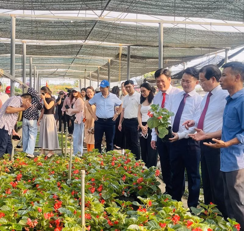 Hanoï : Tich Giang, nouveau modèle du tourisme agricole