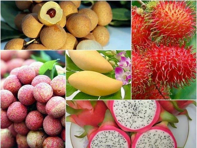Booster la consommation et l’exportation de produits agricoles