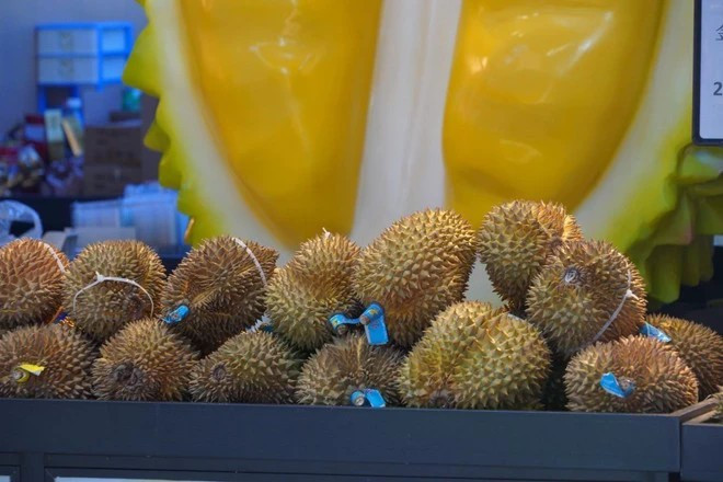 Le Vietnam exporte pour la première fois des durians surgelés vers la Chine