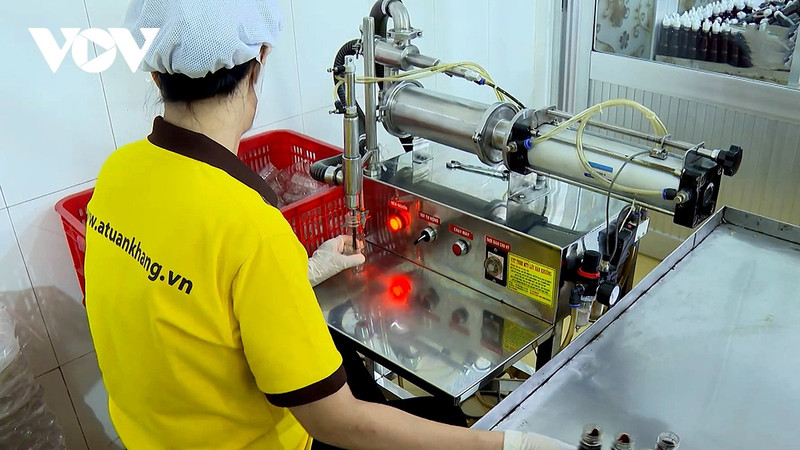 Vinh Long en tête du pays pour les produits industriels ruraux typiques