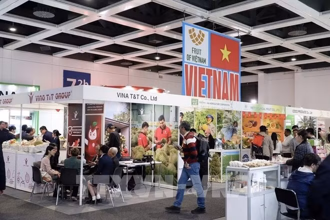 Espace d'exposition du Vietnam au salon Fruit Logistica 2026. Photo : VNA