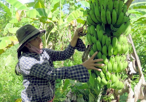 Photo : Agence vietnamienne d''Information.