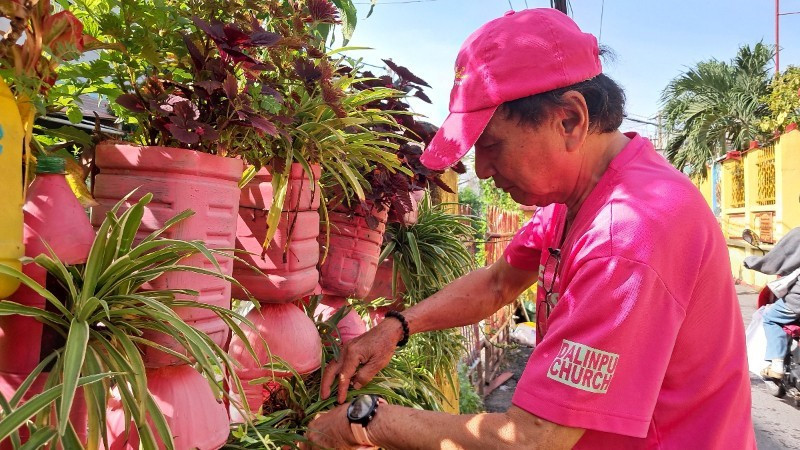 Chaque jour, dès 3 heures du matin, M. Phan Văn Chanh commence à arroser et à prendre soin de sa rangée de plantes vertes Photo : Thuy Duong.