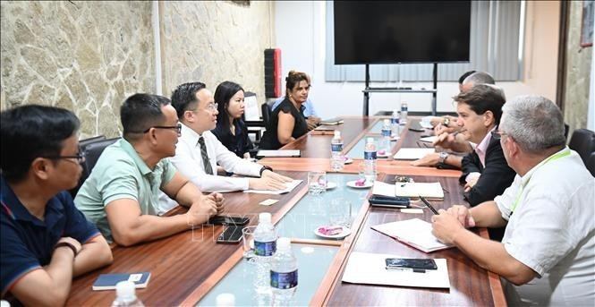 La délégation de la VTV travaille avec l'IICS. Photo : VNA.