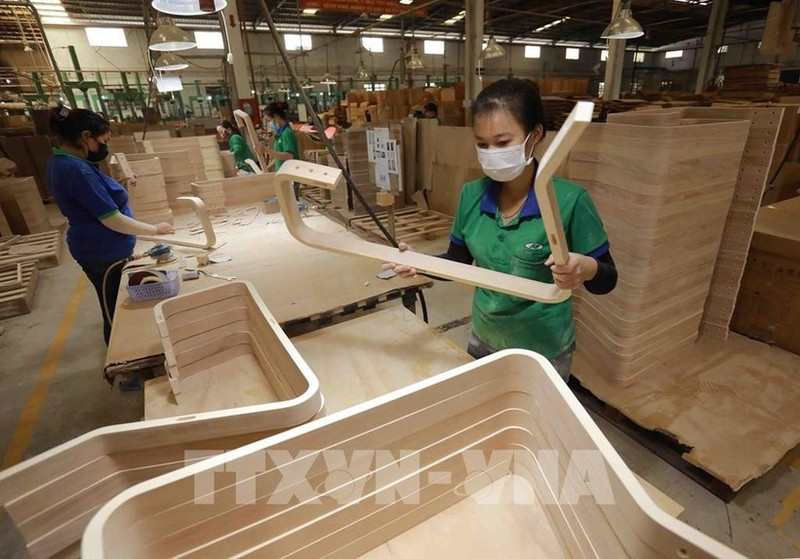 La transparence de l'origine du bois constitue également une exigence clé pour que le Vietnam puisse obtenir la licence FLEGT. Photo: VNA.