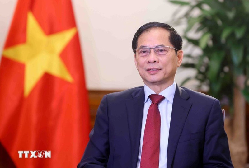 Le vice-Premier ministre et ministre des Affaires étrangères Bui Thanh Son. Photo : VNA.
