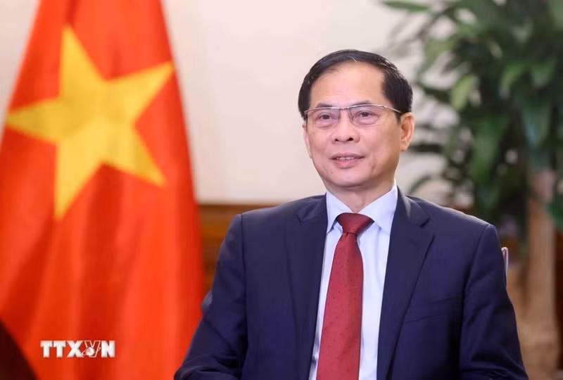 Le vice-Premier ministre et ministre des Affaires étrangères Bui Thanh Son. Photo : VNA.
