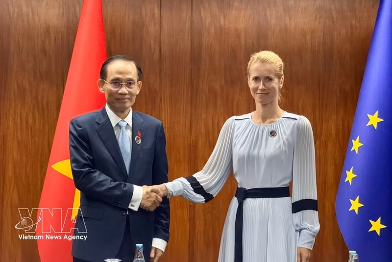 Le ministre vietnamien des Affaires étrangères Lê Hoai Trung et la vice-présidente de la Commission européenne et haute représentante de l’Union européenne pour les affaires étrangères et la politique de sécurité, Kaja Kallas. Photo : VNA.