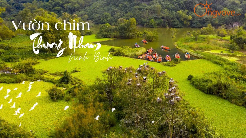 Thung Nham – Le royaume des oiseaux au cœur du site de Trang An
