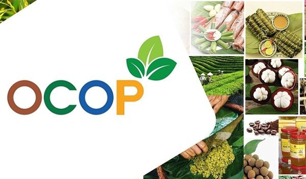 OCOP Vietnam: Un Chemin Vers la Valorisation Locale