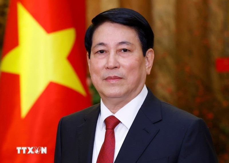 Le président de la République Luong Cuong. Photo : VNA.