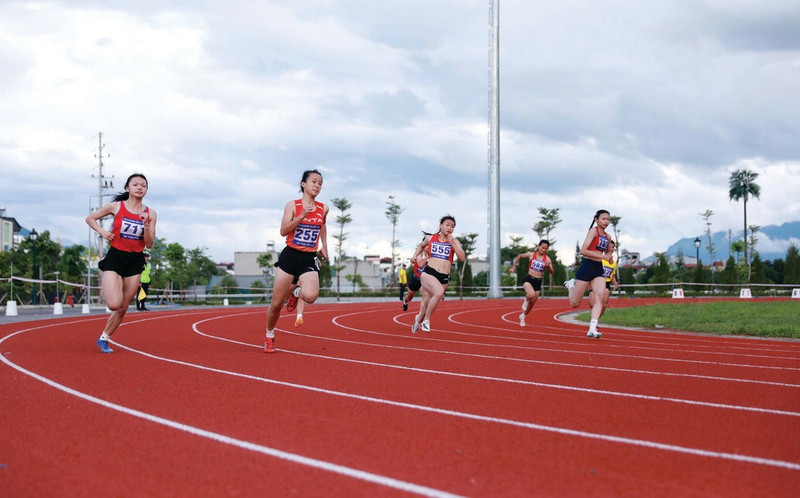 Le développement du sport professionnel repose sur l’amélioration du statut socio-économique des entraîneurs et des athlètes. Photo : VNA/CVN