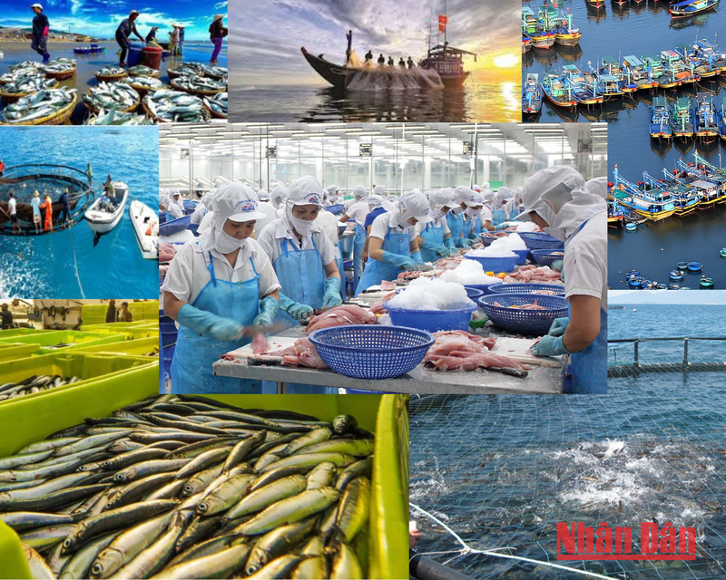  L'industrie de la pêche du Vietnam vise les 10 milliards de dollars en 2025.