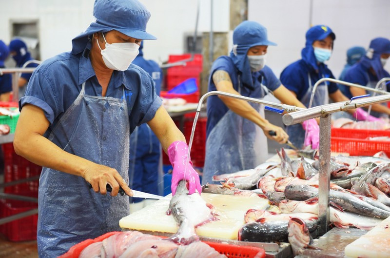 Le RCEP insuffle un « nouvel élan » aux exportations de pangasius du Vietnam