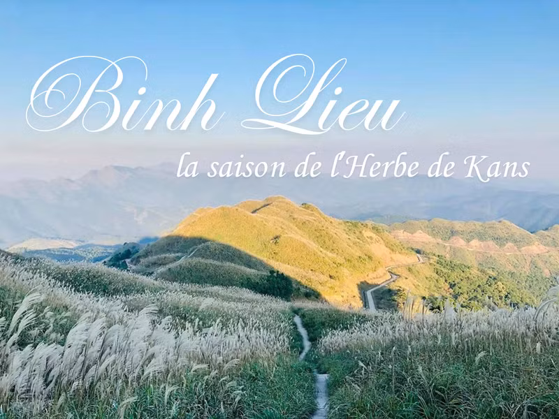 Binh Lieu, la saison de l’Herbe de Kans