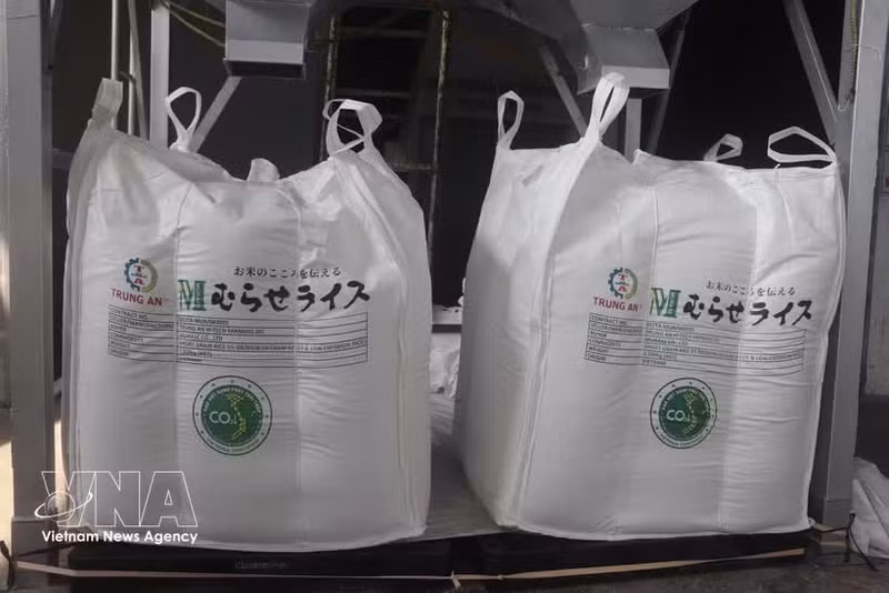 Un lot de riz Japonica, certifié "riz vert vietnamien à faibles émissions", est exporté vers le marché japonais. Photo : VNA.