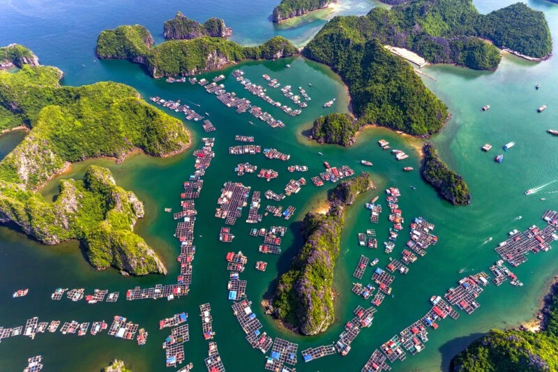 Cat Ba dévoile sa nouvelle offre touristique pour l'été 2025