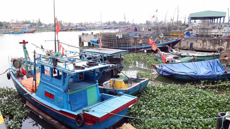 Da Nang restructure sa flotte de pêche pour protéger les ressources côtières. Photo : VNA.