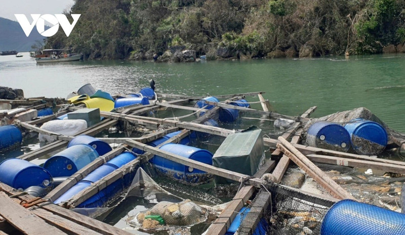 Aquaculture adaptée aux catastrophes naturelles